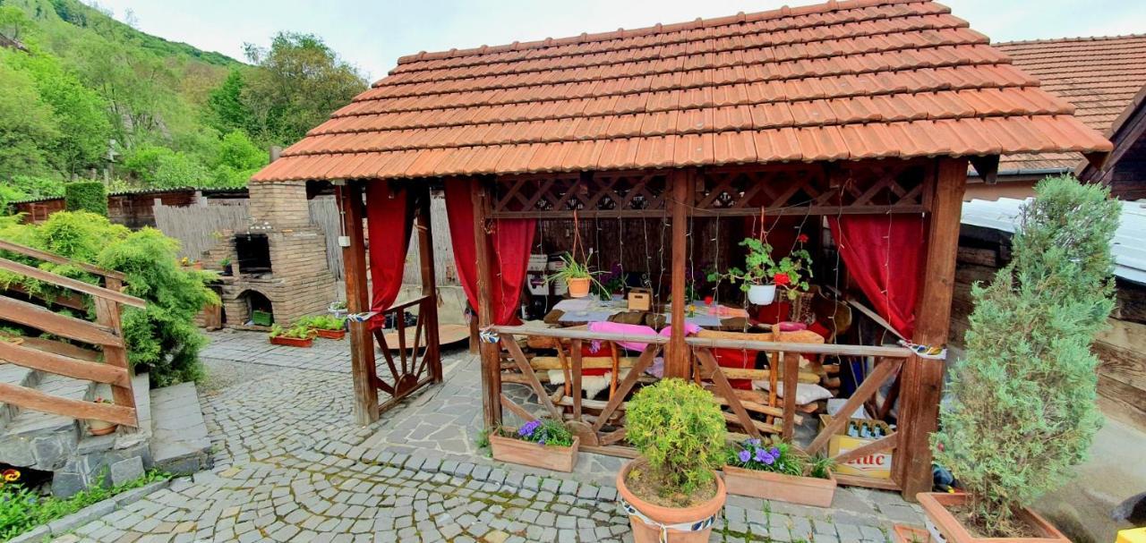 Pension Norbert Sighisoara Exterior photo