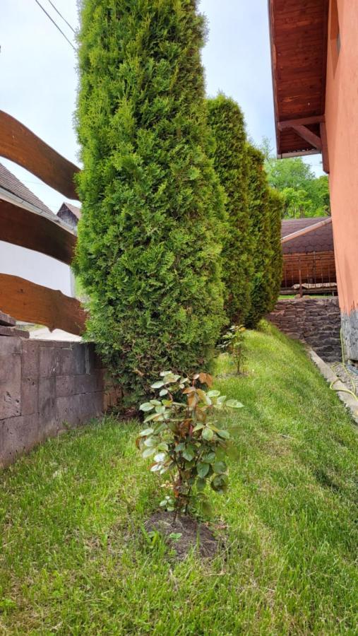Pension Norbert Sighisoara Exterior photo