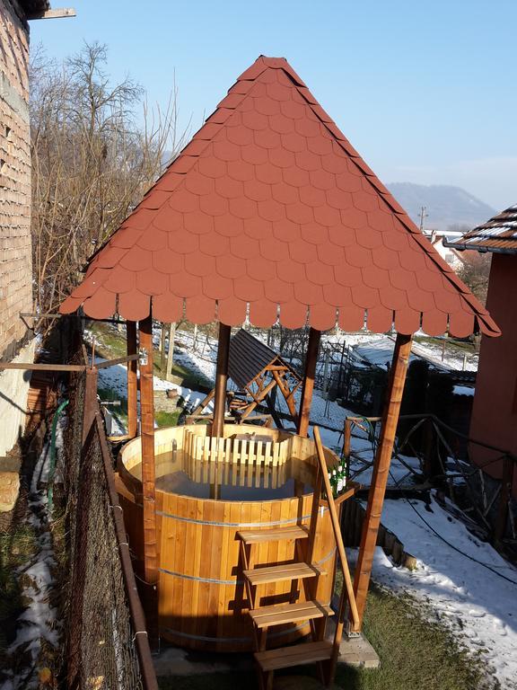 Pension Norbert Sighisoara Exterior photo